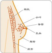 揭秘南京妇儿康医院是否是骗子医院